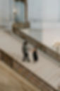 DSC02347-Edit.JPEG