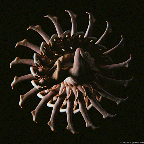 Dance of Life