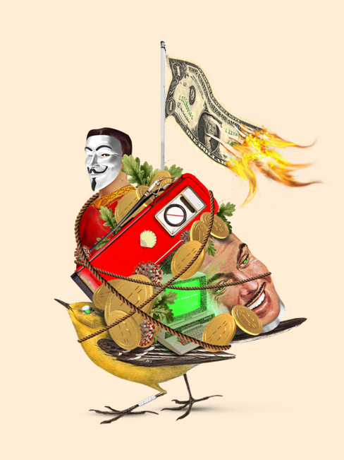 Crypto Bird Series
