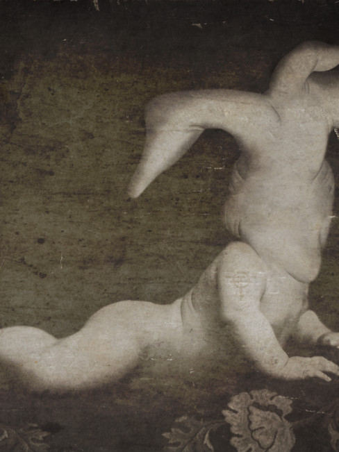 DELUSIONS - NEWBORN