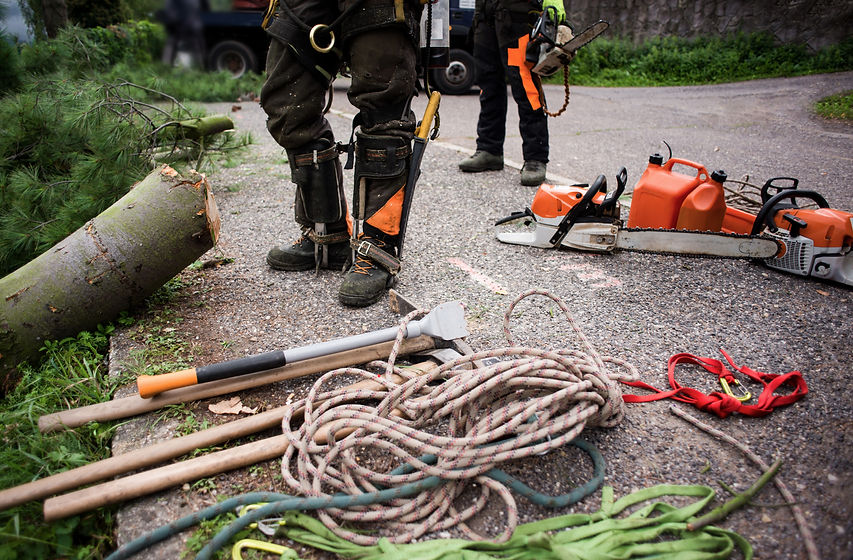 midsection-of-arborist-men-with-chainsaw-and-ropes-2021-08-27-16-14-37-utc.jpg