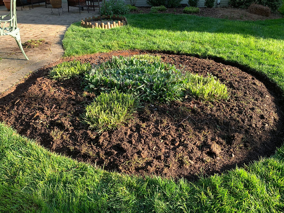 Before deep edging plant beds for pine nuggets mulch.