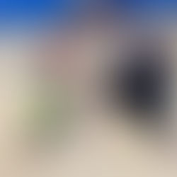 Cougar Buddies Wednesday 10-11-23