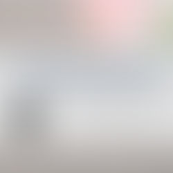 Fill out Free and Reduced Meal Application 22-23