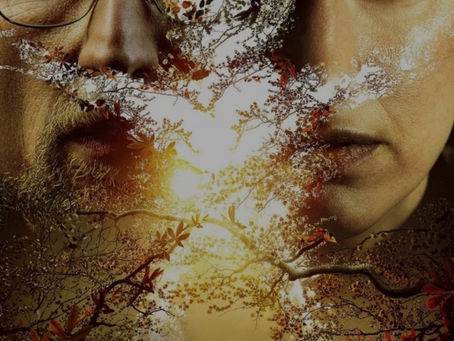 El caso Hartung (2021) (Ver Online Gratis en Español) (1080p) (Sin Anuncios)