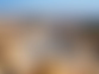 Charismania leads back to Rome