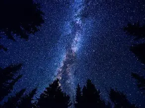 I AM Therefore Logic is