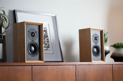 Bookshelf-Floorstanding-Speakers_1.jpg