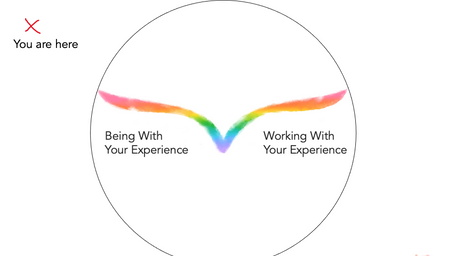The Foundation of Learning and Resilience