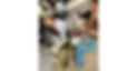 Wix website (34).png