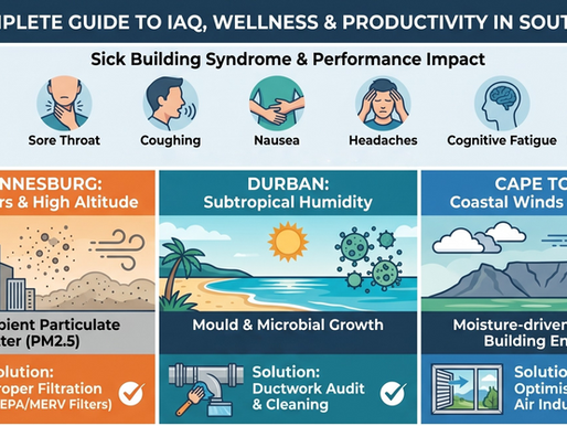 Investing in Invisible Assets: How Indoor Air Quality Drives Corporate Wellness and Productivity