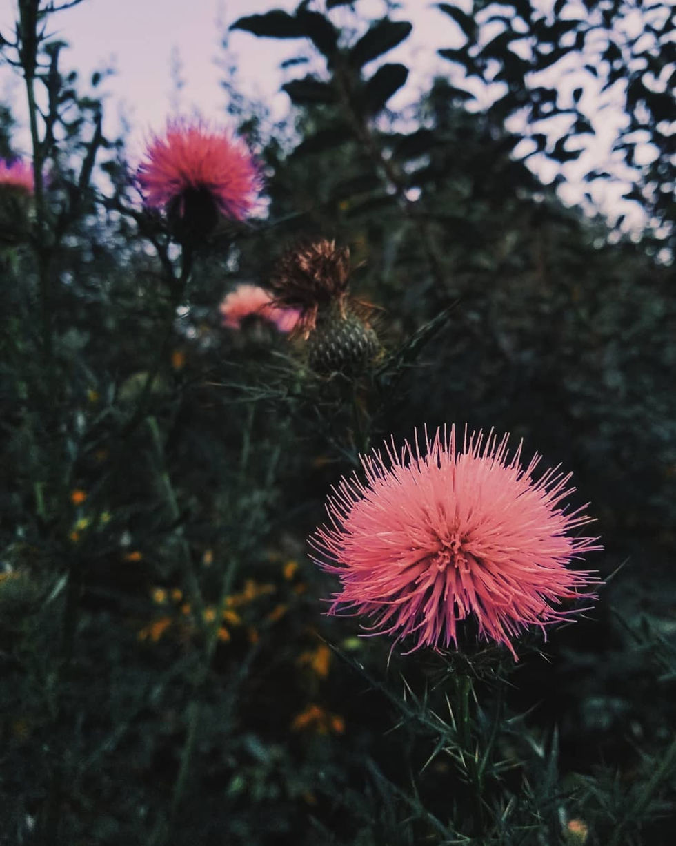 120346980_10223442945485535_7643032751291734998_n