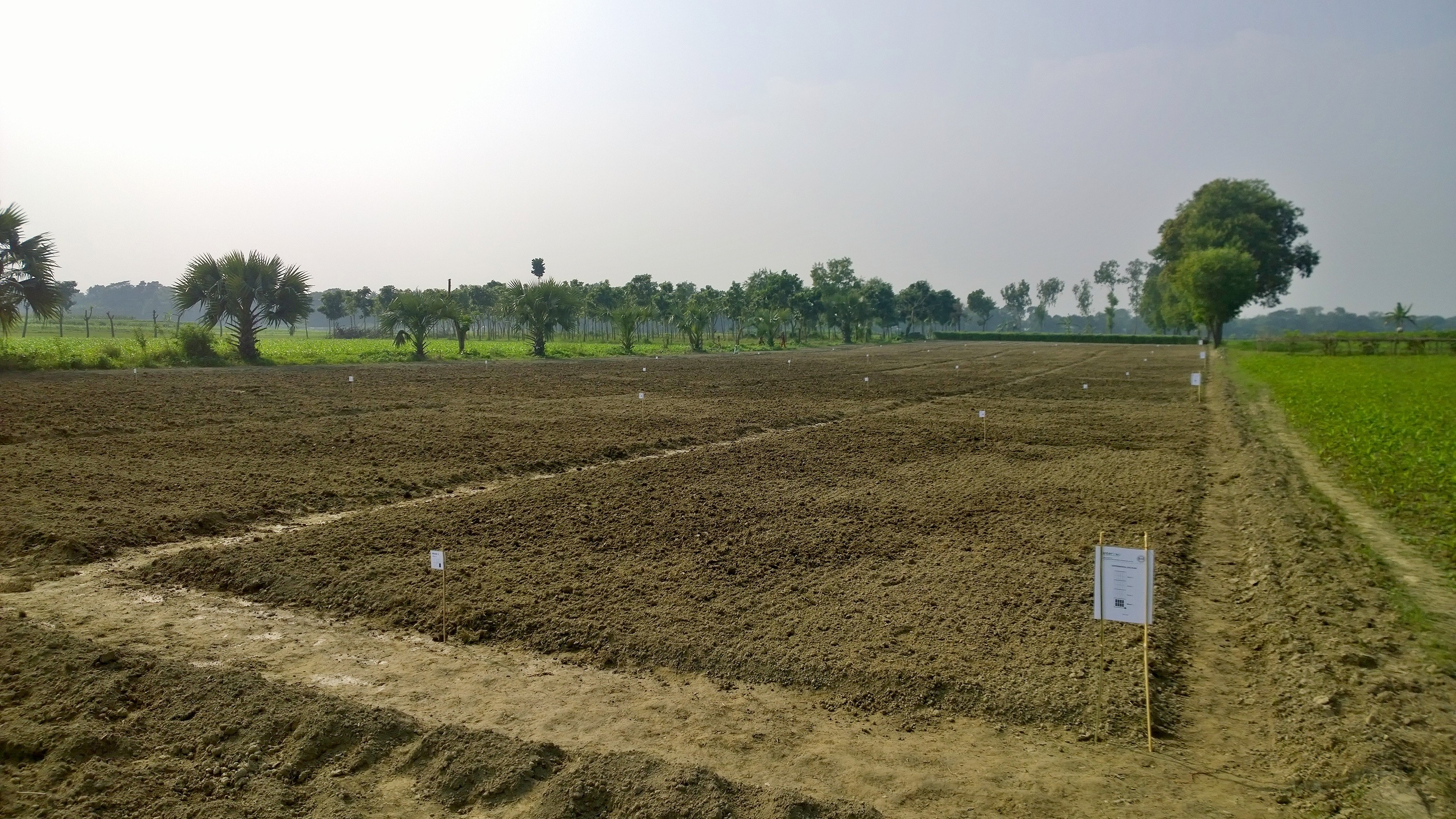 Trial Field Organic Farming
