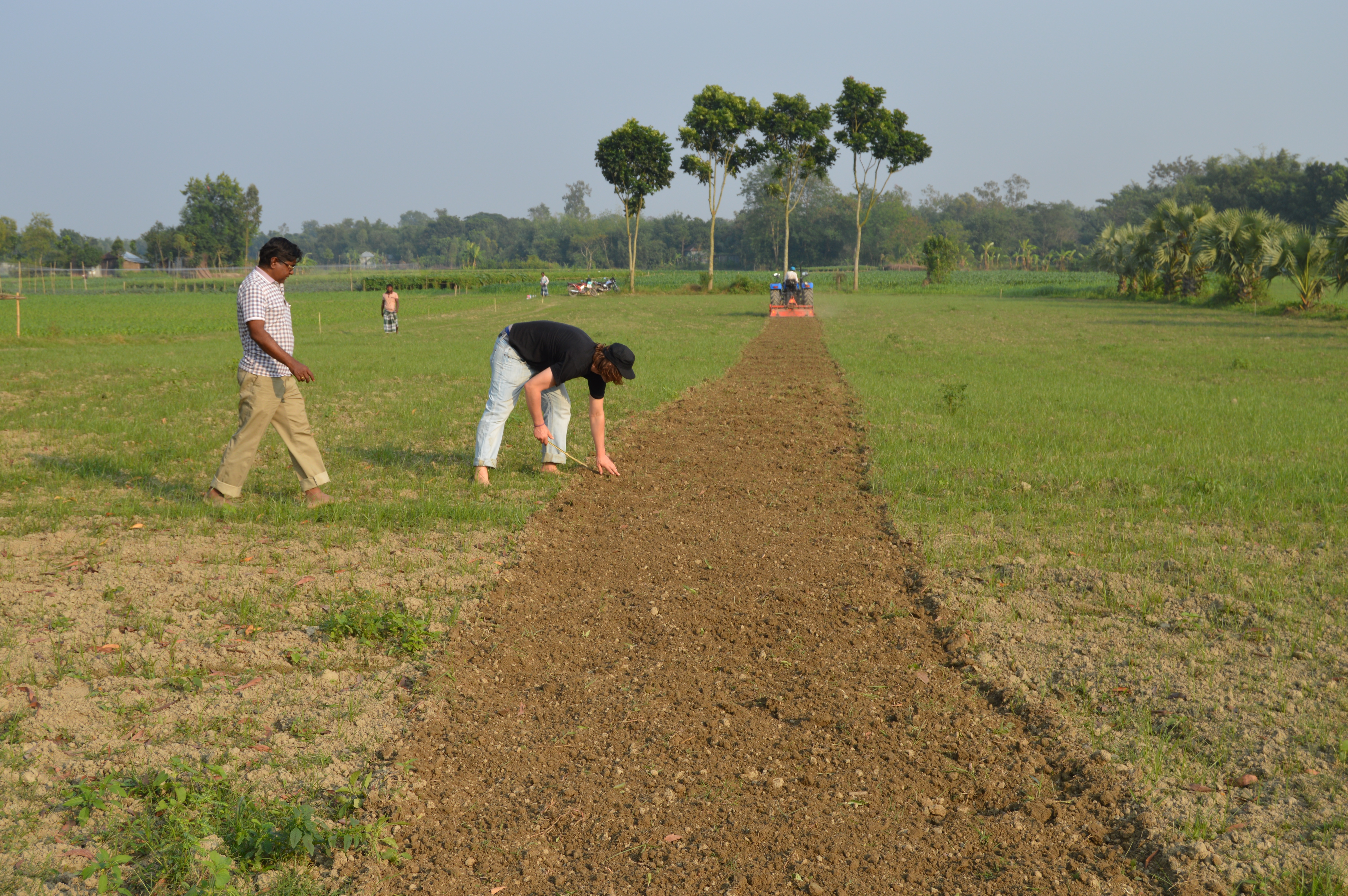 Organic Field Preparation