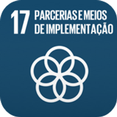 17 - estrategia-ods-parcerias-meios-implementacao.png