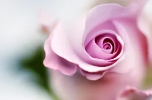 Fotolia_1859100_S.webp