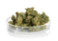AdobeStock_161285825.jpeg