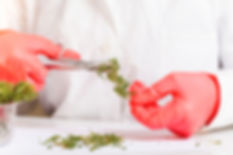 AdobeStock_180951679.jpeg