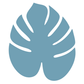 Monstera Medium Blue.png