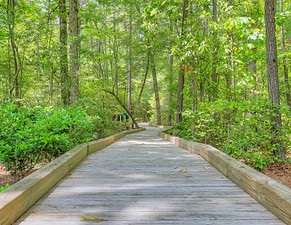 Palmetto Creek 8.JPG