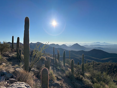 Arizona Hiking.jpeg