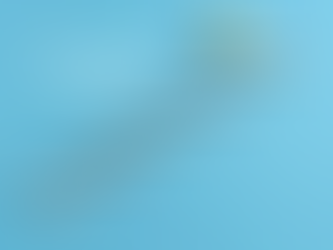 Wie klimt het hoogst...