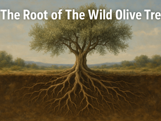 Israel is The Root: What Is The Root Of The Wild Olive Tree Part2