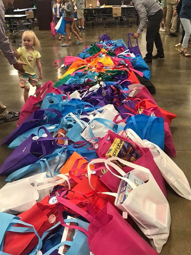CareBags1_4979