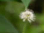 Sortie club Macro (17)