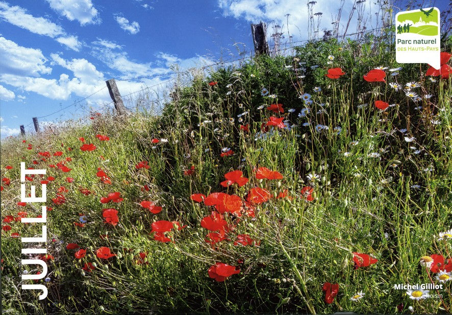 CALENDRIER Hauts pays 2025 (4)