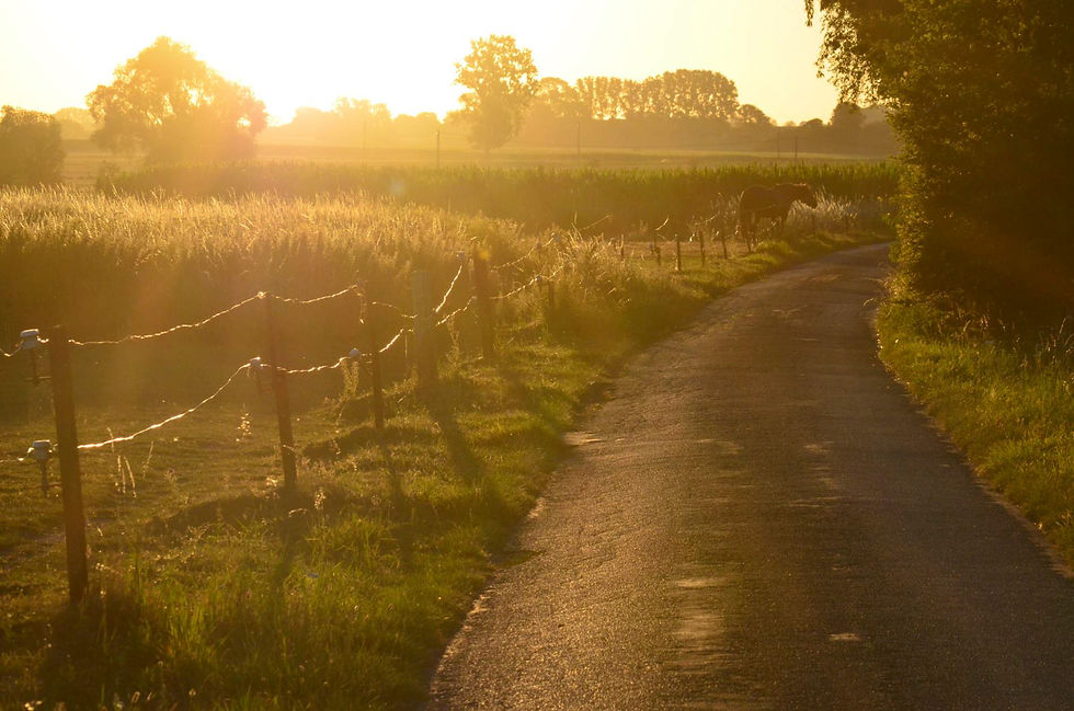 J Bailleux 4