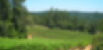 howell-Moutain_shutterstockPhoto.gif