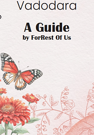 story flowering plant book.png