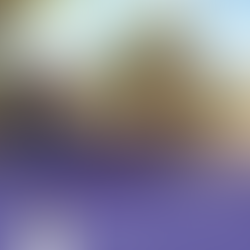 Liturgia: 3º Domingo Quaresma - A