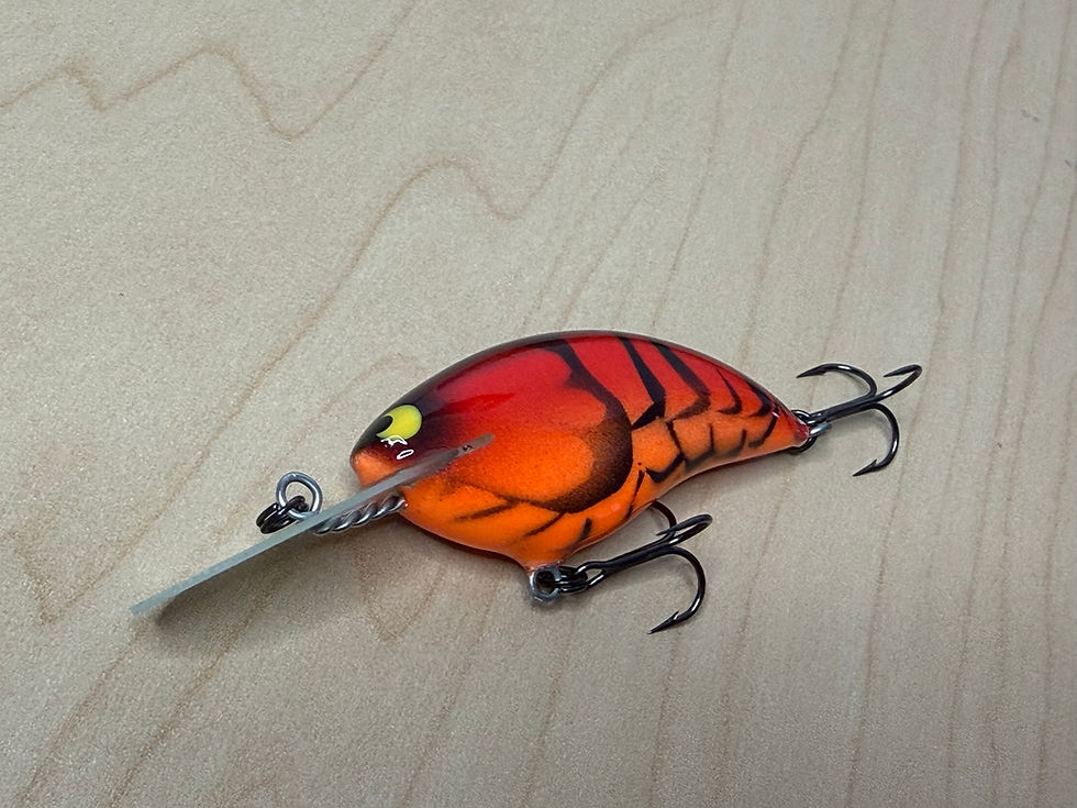 Thumbnail: Skinny Shad 