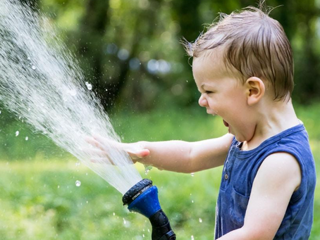 Stop Overwatering Your Yard...(And Your Wallet)
