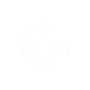 IGNITE-FITNESS-ICON-wht.png