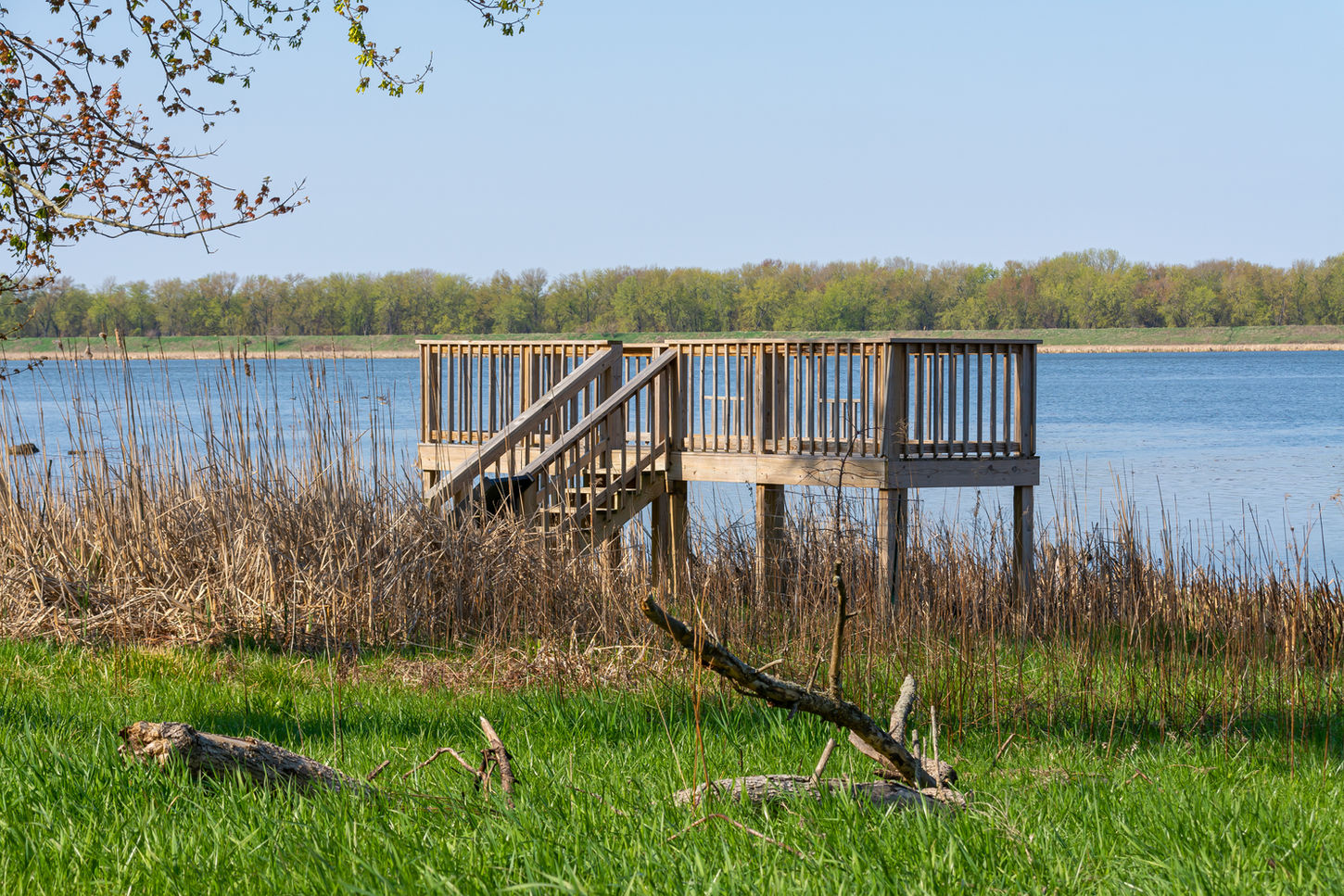 Viewing platform on the lake shoreline.  Sue and Wes Dixon Waterfowl Refuge, Illinois, USA.