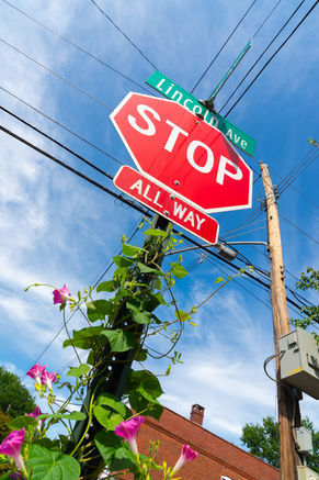 Stop sign with flowers growing up the pole with blue skies and clouds in the background.