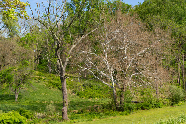 The historic Brandywine Battlefield Park grounds on a sunny Spring morning in Chadds Ford, Pennsylvania, USA.