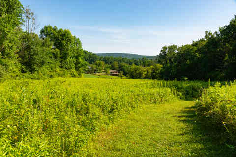Landscape at Natural Lands' Crow's Nest Preserve on a beautiful summer morning in Elverson, Pennsylvania, USA.