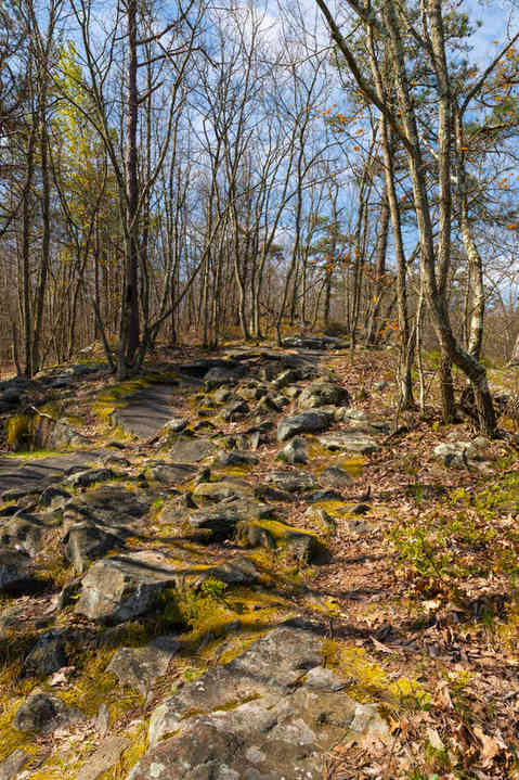 Hiking trail and landscape on a beautiful Spring morning at Seven Tubs Recreation Area in Wilkes-Barre, Pennsylvania, USA.