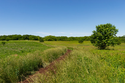 Spring landscape along the hiking trail at The Morton Arboretum in Lisle, Illinois, USA.