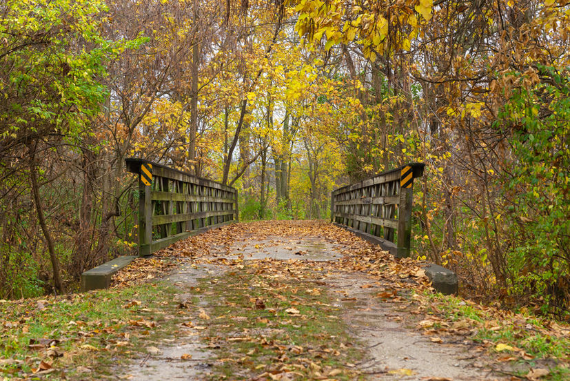 Leaf covered trail on the historic I and M Canal in Ottawa, Illinois, USA.