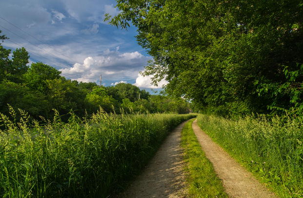Tow path along the I&M canal.  Located at: I&M Canal State Trail, LaSalle, Illinois.