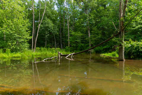 Landscape and reflections off of Hopewell Lake at French Creek State Park on a beautiful Summer morning in Elverson, Pennsylvania, USA.