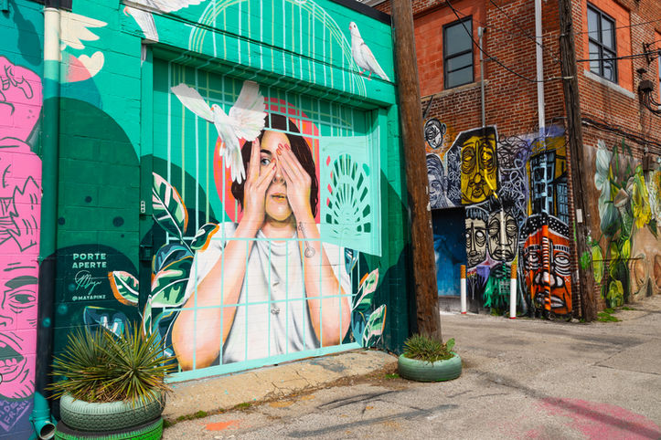 Lafayette Mural Alley in downtown Columbus, Ohio, USA.