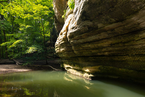 Landscape in Illinois Canyon on a Summer morning.  Starved Rock State Park, Illinois, USA.