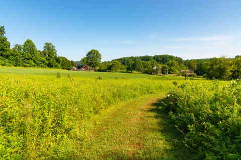 Landscape at Natural Lands' Crow's Nest Preserve on a beautiful summer morning in Elverson, Pennsylvania, USA.