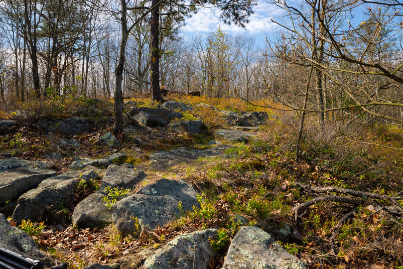 Hiking trail and landscape on a beautiful Spring morning at Seven Tubs Recreation Area in Wilkes-Barre, Pennsylvania, USA.